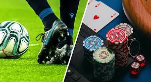 Explore the World of Betting with icc bet