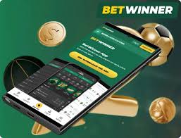 BetWinner in South Africa Your Ultimate Guide to Online Betting