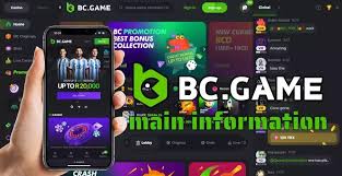 The Revolutionary Features of the BC.Game Online Platform