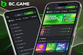 The Revolutionary Features of the BC.Game Online Platform